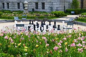 AM-Rijks Museum Garden