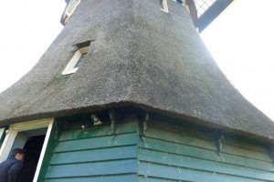 AM-windmill thatch