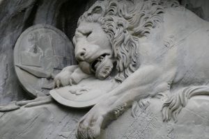 LUC-Lion detail