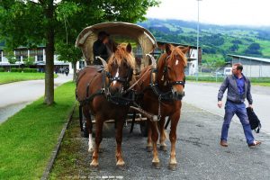 giswil-horses-and-stephane